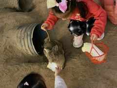 -前小桔亲子创意农场·草莓采摘·露营烧烤