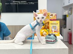 -申普宠物医院·眼科·心内科·影像科(普陀分院)