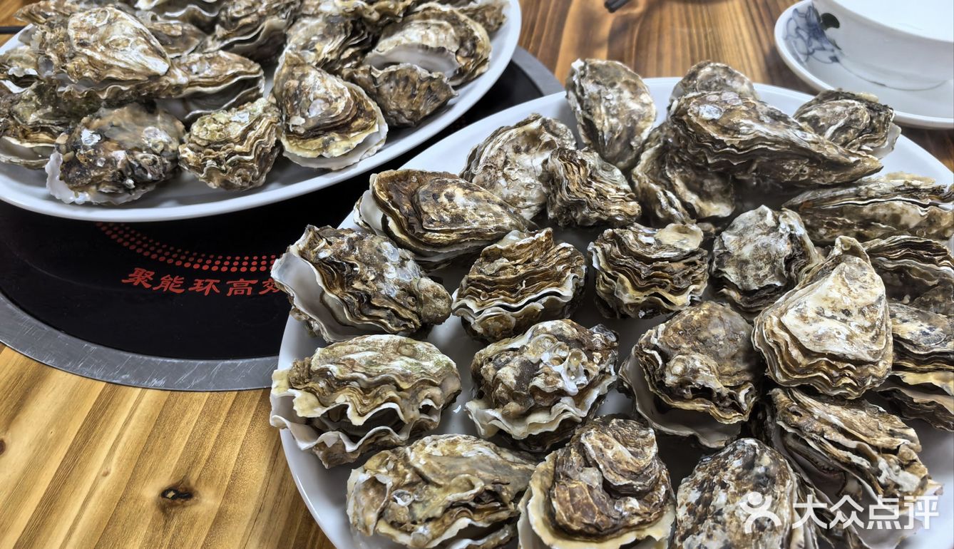 苏岗村里有肥嘟嘟的生蚝吃噢！