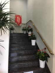 -YESIDO椰岛美容