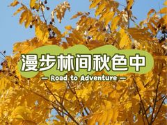 -昆山城市生态森林公园