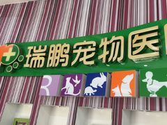 -瑞鹏·疫苗·绝育·宠物医院(金沙洲店)