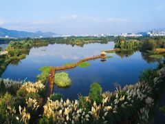 -西昌邛海湿地