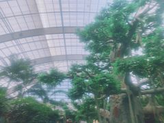 -国信南山温泉