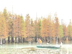 -白鹭湾湿地公园