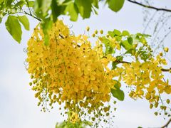 -厦门园林博览苑