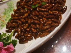 -渔掌门(铁东店)