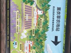 -济州森林小火车生态公园