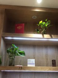 -苑苑vbeauty科技美容SPA