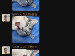 -创凡宠物医院·骨专科  猫科中心(西乡分院)