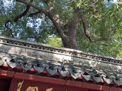 -秋霞圃