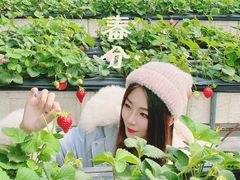 -甜心庄园·甜心草莓采摘园(西青中北店)
