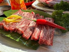 -道乐烧肉酒馆