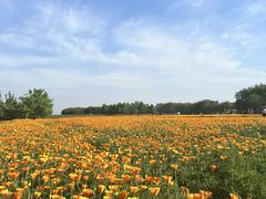 -江苏三台山国家森林公园