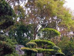 -深圳国际园林花卉博览园