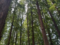 -东坡赤壁风景名胜区