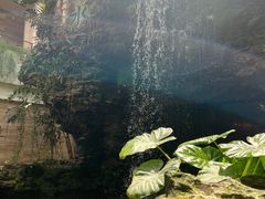 -广州白天鹅宾馆