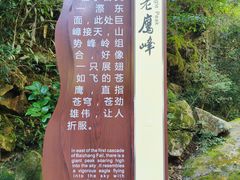 -刘伯温故里景区百丈漈