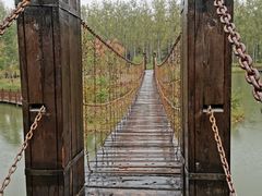 -合肥滨湖国家森林公园