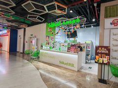 -Salud撒露欧洲冻酸奶(北苑上品店)