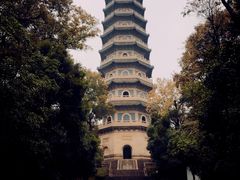 -灵谷景区