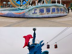 -上海海昌海洋公园