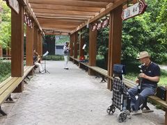 -木塔寺遗址生态公园