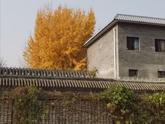 -朝阳公园体育中心