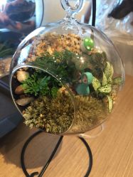 -禧月荟S月子中心(侨城店)