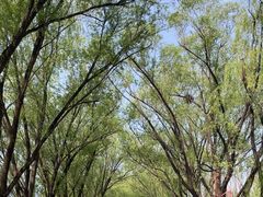 -野鸭湖国家湿地公园