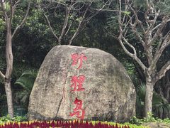 -野狸岛