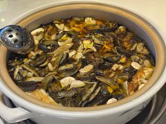 -爱膳菌锅锅(阳南店)