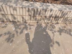 -胡马八破·川菜小馆(高新万达店)