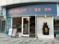 门面-飞行喵MR PILOT|猫舍·猫咖(静安大融城店)