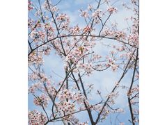 -独墅湖图书馆停车场