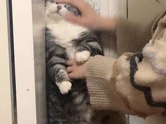 -爱侣宠医·鹦鹉专科·小型哺乳类·异宠专科(灵石路店)