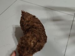 -宠福鑫动物医院(城北分院)