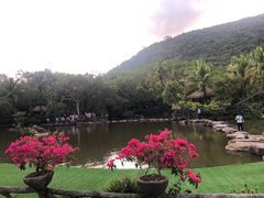 -呀诺达热带雨林