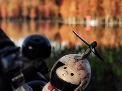 -白鹭湾湿地公园