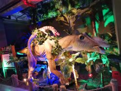 -恐龙探索乐园(磁器口店)