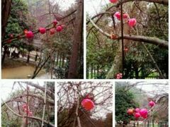 -常德桃花源景区