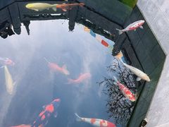 -西安市广仁寺