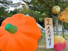 -云栖山谷野奢营地
