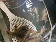 -蛙太牛牛肉海鲜自助火锅(台江万达店)