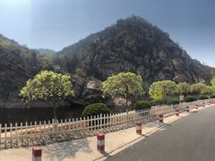 -金龙寺国家森林公园