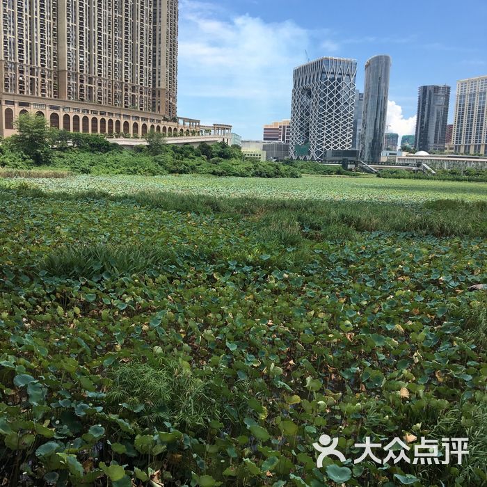 龙环葡韵人工湖湿地