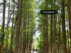 -马峦山郊野公园