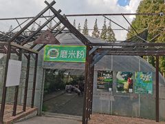 -前小桔亲子创意农场·草莓采摘·露营烧烤