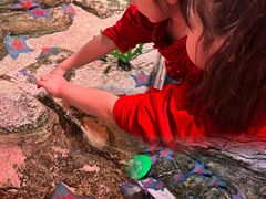 -沈阳海洋探索中心