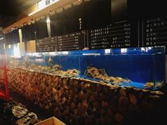 水产区-綱元·海鲜豆捞(明州里店)